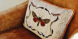 Starland Village Gallery 17