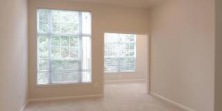10808 WARFIELD Place Gallery 17