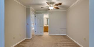 3711 Apple Grove Circle Gallery 17