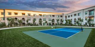 Vineyards Gallery 12