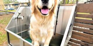 Silver Creek Apartments Gallery 8