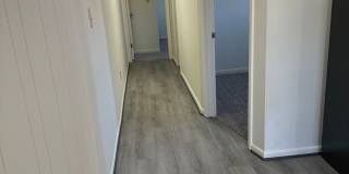 Large 2 Bedroom, 1 Bath Apartment in Old SW Gallery 4