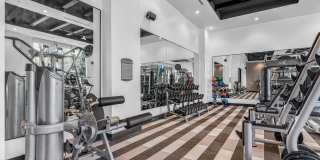 Ovation at Galatyn Park Gallery 13