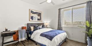 Amavida Marana Gallery 18