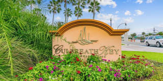 Culbreath Key Gallery 5