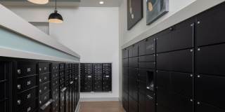 Prose LaGrange Gallery 27