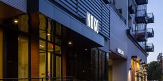 Noko Gallery 2