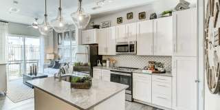 The Carolyn Gallery 1