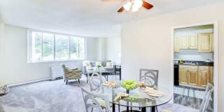 Ashton Heights Gallery 12