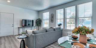 Red Hawk and Laurel Grey Gallery 19