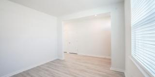 Available Soon! Gallery 10