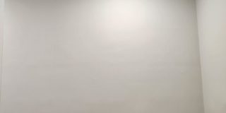 HOT Renovated 2BR in Allston! Gallery 12