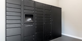 Northgreen at Carrollwood Gallery 40