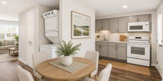 Village of Carrollwood Gallery 1