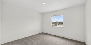 Brand New Construction in 89436!! Gallery 26