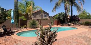 2514 E Petroglyph Lane Gallery 20
