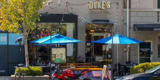 Sedgwick Gardens Gallery 31