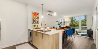 Ellis at Bel-Red Gallery 3