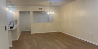 280 Celebration Blvd Apt 104 Gallery 1
