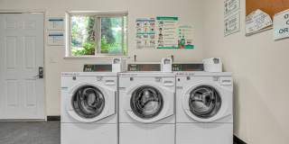 Downing Hills Gallery 15