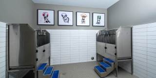 Alta Clara Gallery 18