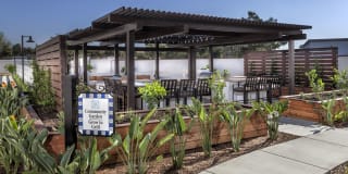 The Enclave at Homecoming Gallery 16