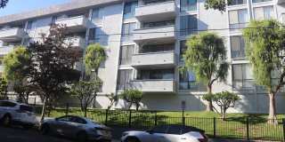 Hillside Terrace Gallery 5