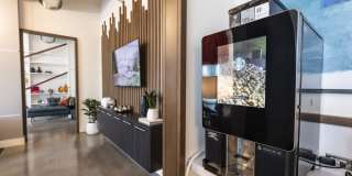 Vantage St Pete Gallery 21
