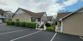 Axis on Roan Gallery 13