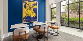 810 Ninth Gallery 7