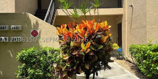3679 Cocoplum Cir 3679 Cocoplum Cir Gallery 1