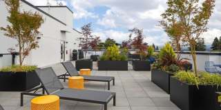 Chronicle Gallery 46