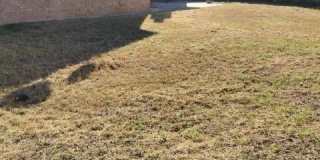 213 Blanket Drive Gallery 12