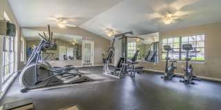 Laurel Oaks Gallery 16