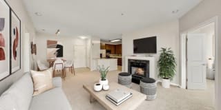 The Stories Gallery 8