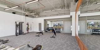 Oak Forest 2BR/2BA | Metra Nearby | Modern Finishes Oak Forest 2BR/2BA | Metra Nearby | Modern Finishes Gallery 22