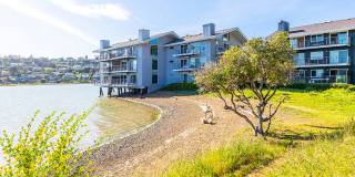 The Cove at Tiburon Gallery 20