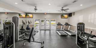 Park at Avellino Gallery 5