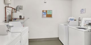 Heron's Nest Gallery 30