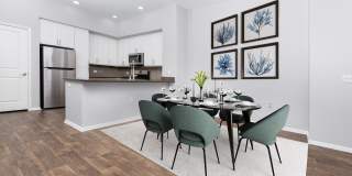 Paragon at Old Town Gallery 42