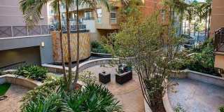 525 11th Ave #1206 Gallery 16