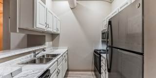 The Globe Gallery 11