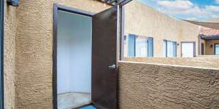 Lion Tempe Gallery 23