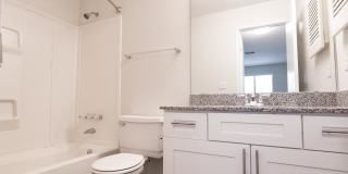 Canter Chase Gallery 21