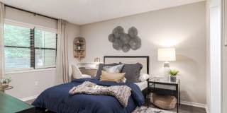Park Valley Apartments Gallery 6