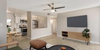 Rise Skyview Gallery 10