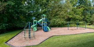 Alvista Bowie Gallery 21