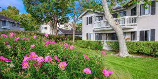 Flower Fields Condominiums Gallery 6