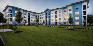 Arcadia 331 Gallery 6