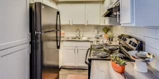 Cielo Cielo Gallery 1